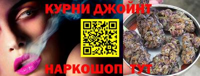гашик Кинель