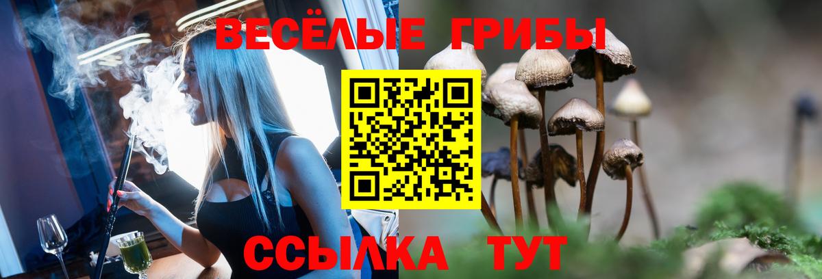 Галлюциногенные грибы мухоморы  Вход с VPN  Гусиноозёрск 